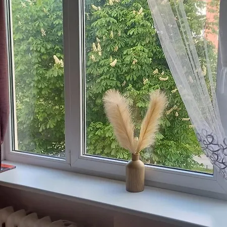 уютная двушка у моря и леса Appartamento *